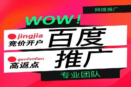 成功案例：SEM运营托管助力企业快速扩张